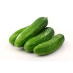 Cucumber supplier Malaysia