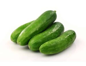 Cucumber supplier Malaysia