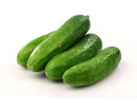 Cucumber supplier Malaysia